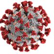 An illustration of the new coronavirus, SARS-CoV-2, which causes COVID-19.