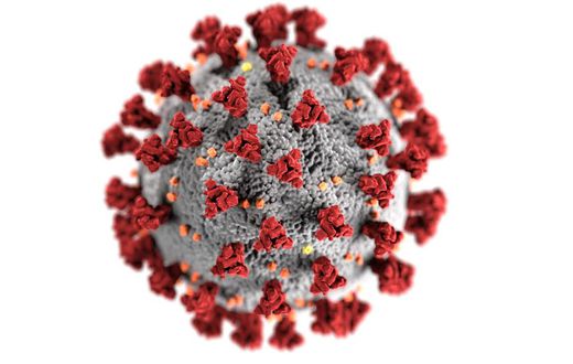 An illustration of the new coronavirus, SARS-CoV-2, which causes COVID-19.