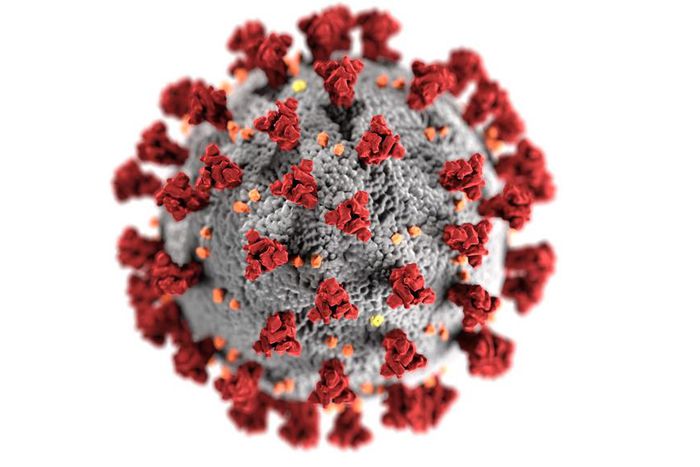An illustration of the new coronavirus, SARS-CoV-2, which causes COVID-19.