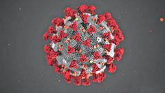 corona virus