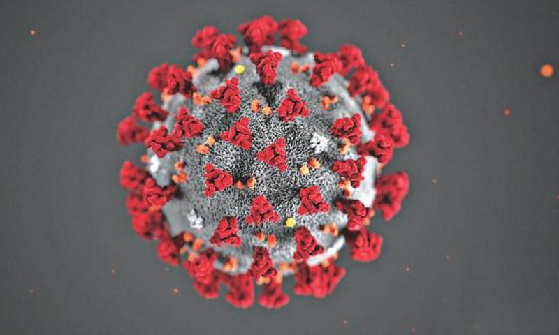 corona virus