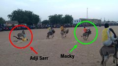 Course d'âne à Mbacké Mbaam