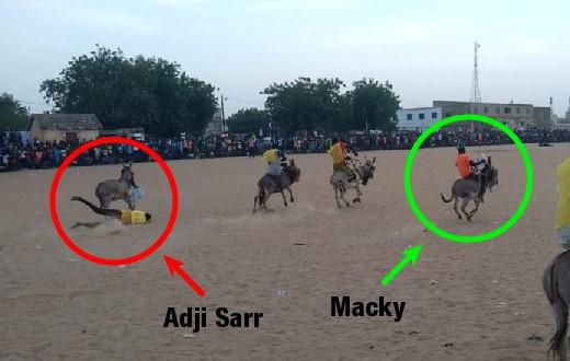 Course d'âne à Mbacké Mbaam