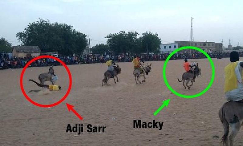 Course d'âne à Mbacké Mbaam