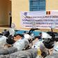 United Nations Multidimensional Integrated Stabilization Mission in Mali (MINUSMA)