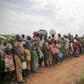United Nations High Commissioner for Refugees (UNHCR)