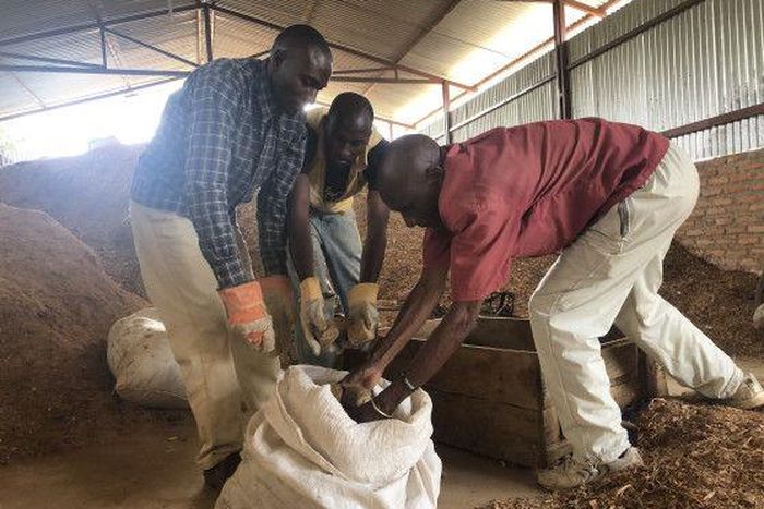 African Development Bank Group (AfDB)