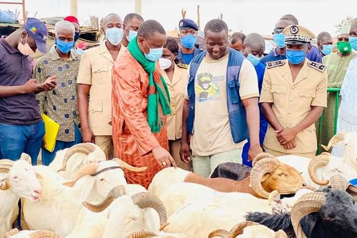 ENVIRON 151.000 MOUTONS EN VENTE DANS LA RÉGION DE DAKAR