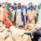 ENVIRON 151.000 MOUTONS EN VENTE DANS LA RÉGION DE DAKAR