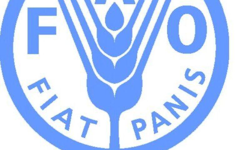 FAO Regional Office for Africa