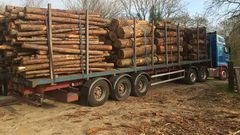 Coupe abusive et trafic intense de bois en Casamance : Le Directeur des EFCCS élève la voix
