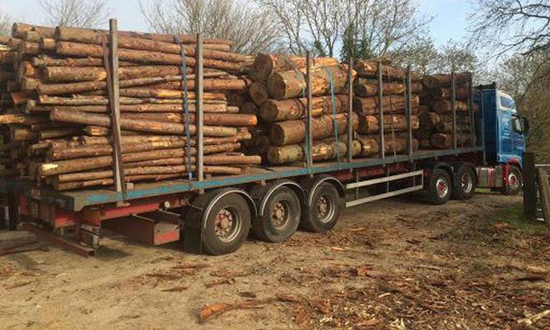 Coupe abusive et trafic intense de bois en Casamance : Le Directeur des EFCCS élève la voix