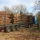 Coupe abusive et trafic intense de bois en Casamance : Le Directeur des EFCCS élève la voix