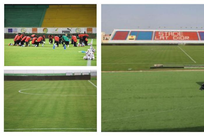 La-nouvelle-pelouse-du-Stade-Lat-Dior-fait-l'unanimité