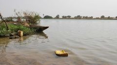 Fleuve Sénégal