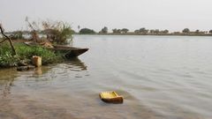 Fleuve Sénégal