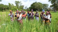 African Development Bank Group (AfDB)