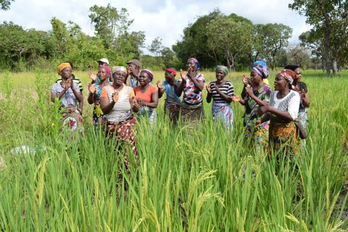 African Development Bank Group (AfDB)