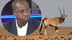 Sénégal: l'affaire des oryx morts qui éclabousse le ministre de l'Environnement