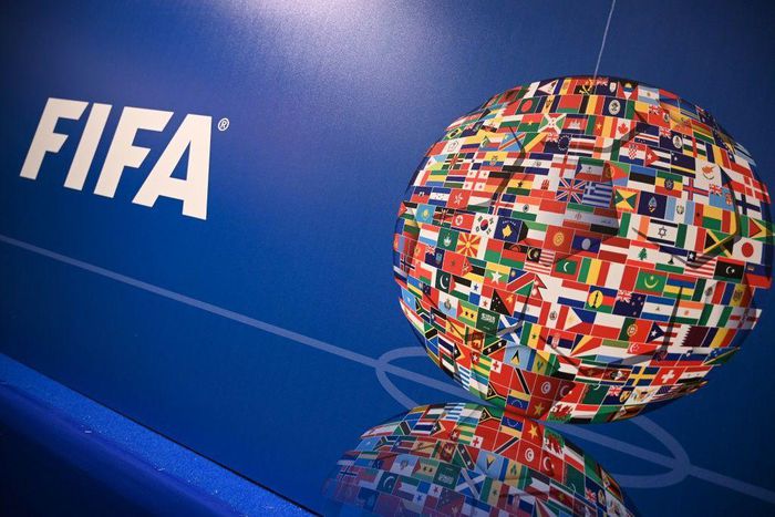 FIFA held an online summit with its 211 member federations on Thursday as it pushes plans for a biennial World Cup