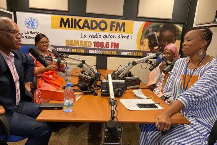 United Nations Multidimensional Integrated Stabilization Mission in Mali (MINUSMA)