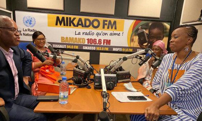 United Nations Multidimensional Integrated Stabilization Mission in Mali (MINUSMA)