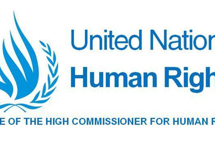 Office of the UN High Commissioner for Human Rights (OHCHR)