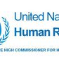 Office of the UN High Commissioner for Human Rights (OHCHR)