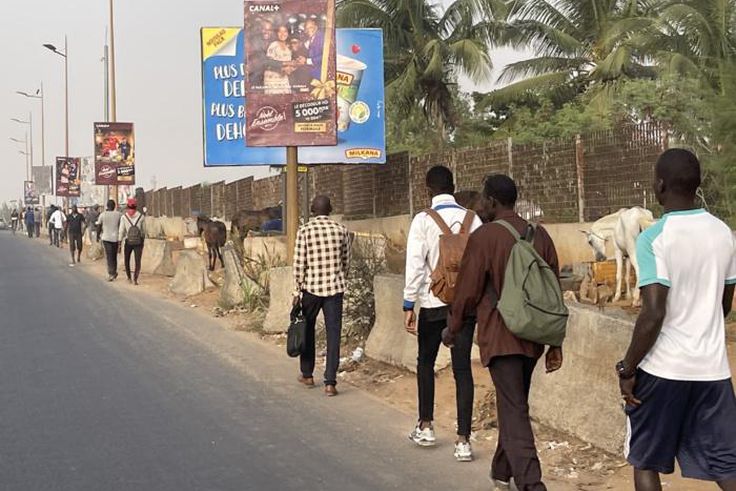 En l'absence de véhicules de transports en commun, les dakarois se rendent au travail ou à l'école à pieds