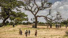 Jusqu'à 65% des terres productives en Afrique sont dégradées