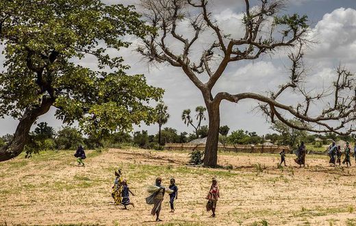 Jusqu'à 65% des terres productives en Afrique sont dégradées
