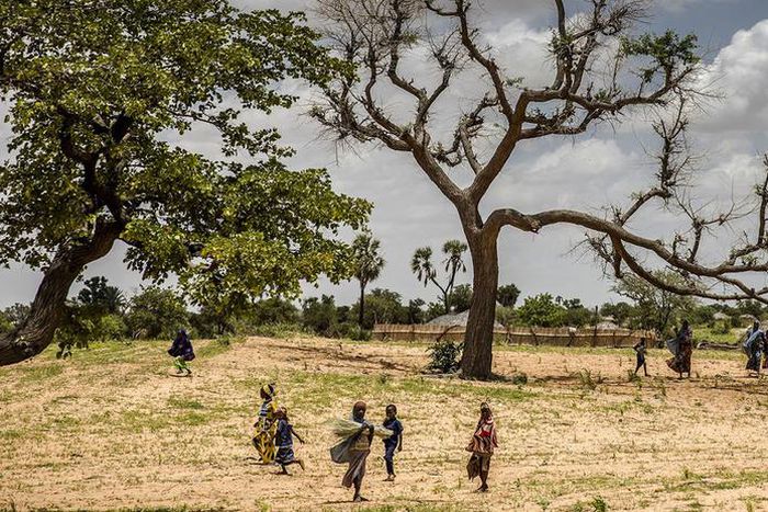 Jusqu'à 65% des terres productives en Afrique sont dégradées