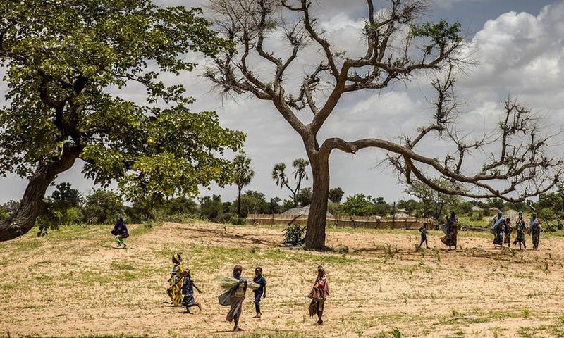 Jusqu'à 65% des terres productives en Afrique sont dégradées