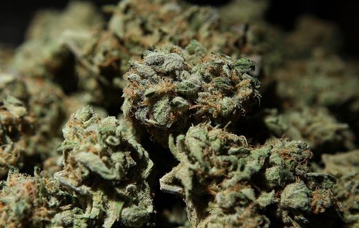 A bowl of medicinal marijuana is displayed in a booth at The International Cannabis and Hemp Expo April 18, 2010 at the Cow Palace in Daly City, California.