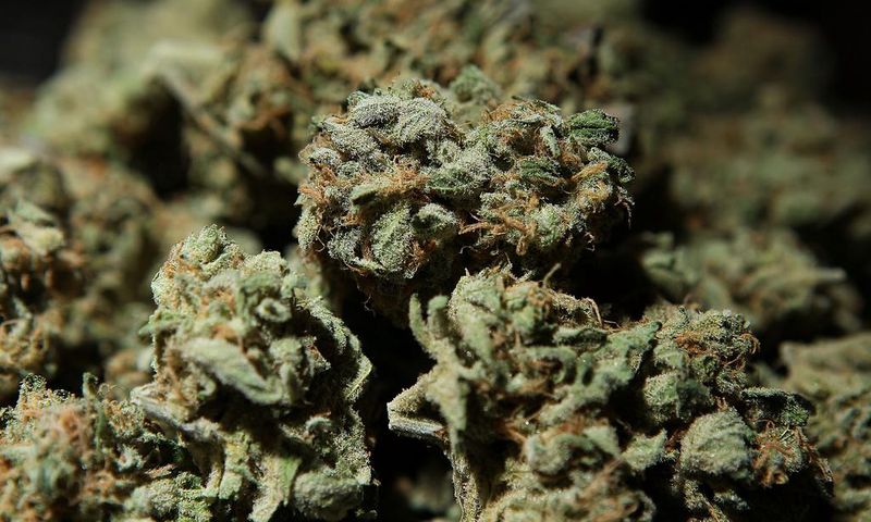 A bowl of medicinal marijuana is displayed in a booth at The International Cannabis and Hemp Expo April 18, 2010 at the Cow Palace in Daly City, California.