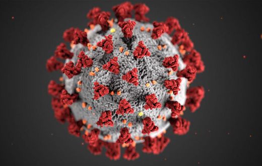 coronavirus covid19 senegal virus
