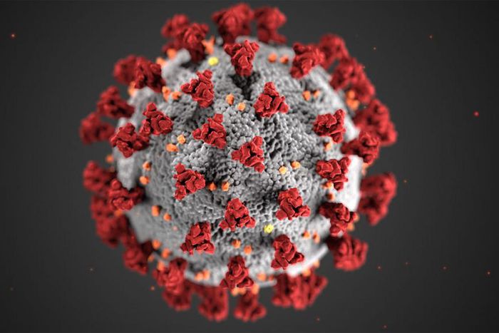 coronavirus covid19 senegal virus