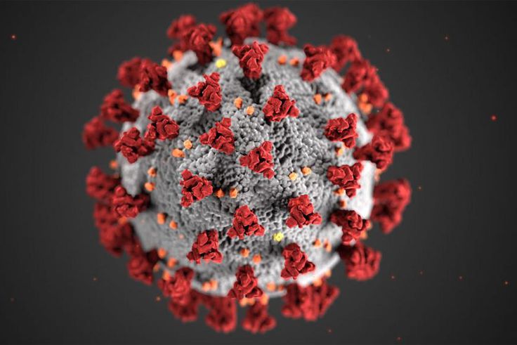 coronavirus covid19 senegal virus