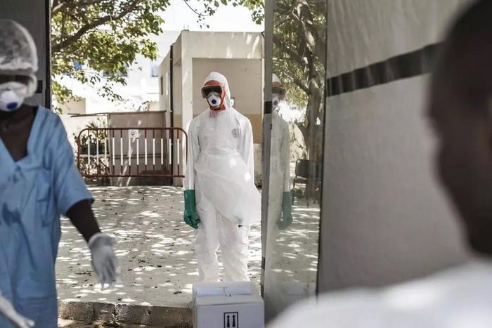 coronavirus covid19 Senegal