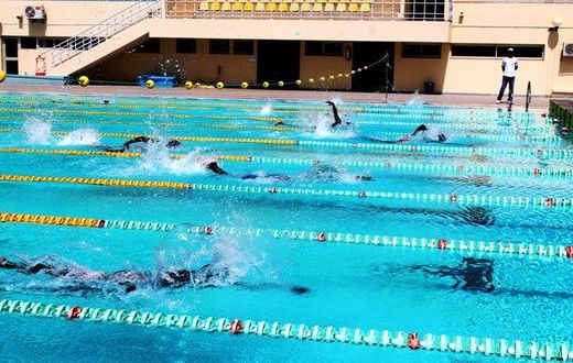 natation-championnats-individuels-de-Dakar