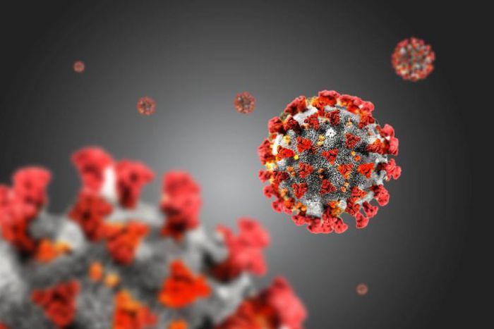 Covid-19 : 104 nouveaux cas dont 4 communautaires, 23 guéris, 6 cas graves, 927 personnes sous traitement