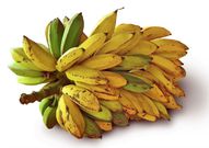 bananes