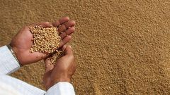 Zakat al Fitr