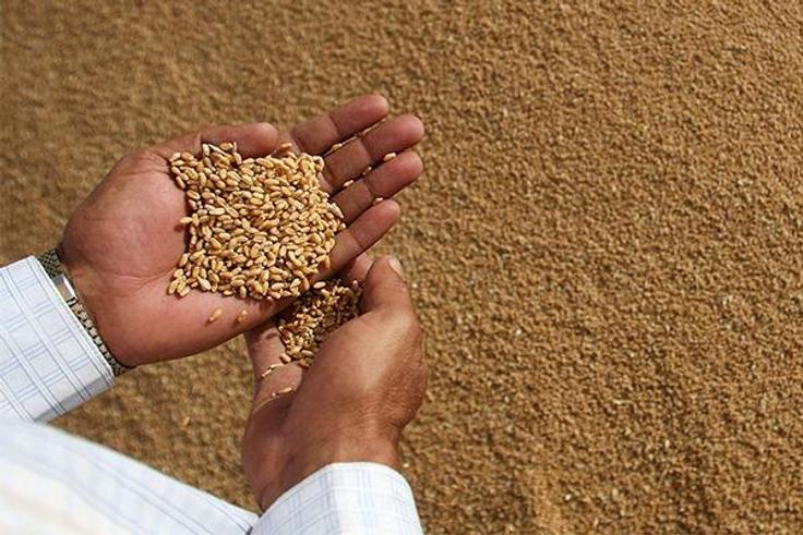 Zakat al Fitr