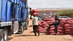 Gel des importations d'oignons à partir du 25 Janvier