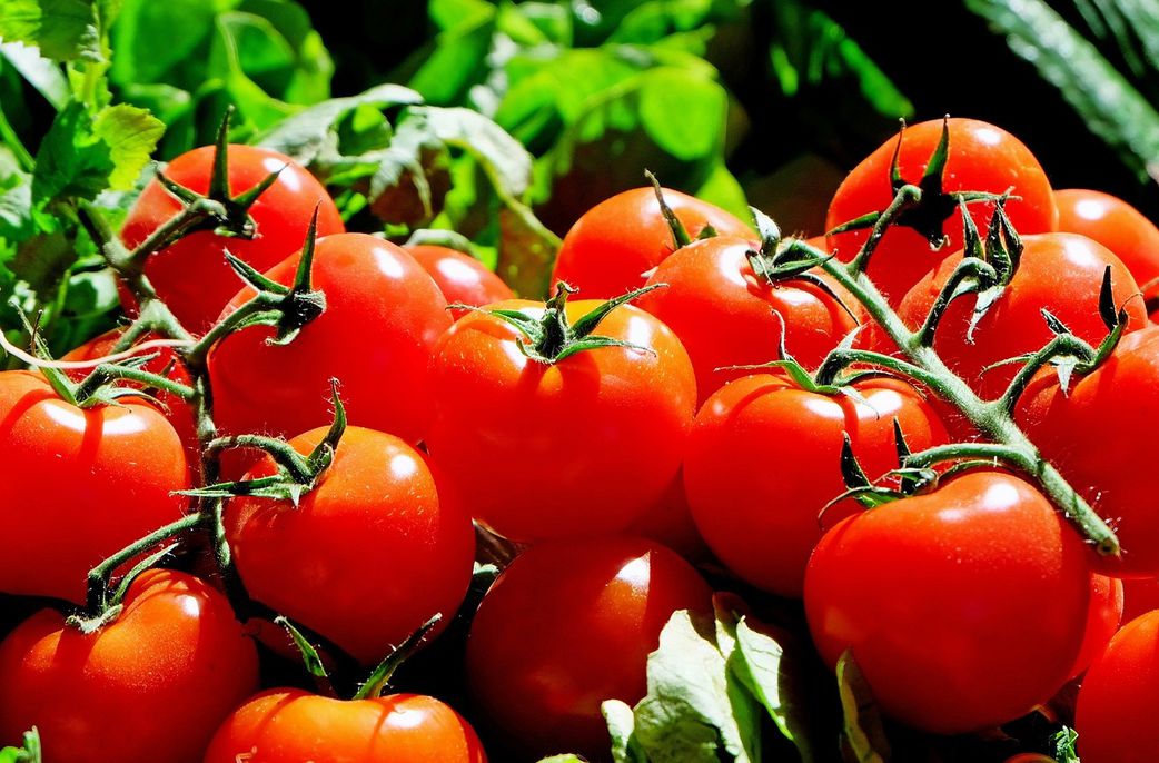 Ce pigment de la tomate pourrait prévenir le cancer !