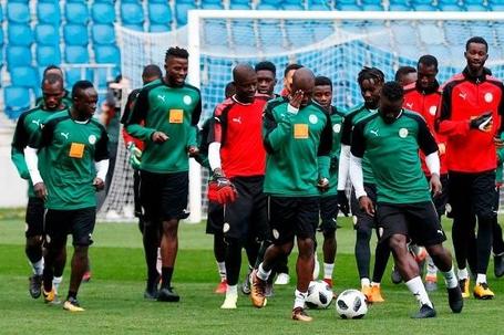 equipe nationale senegal lions taniere