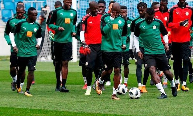 equipe nationale senegal lions taniere
