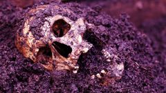 Que devient le corps humain après la mort ?