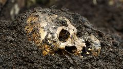 Que devient le corps humain après la mort ?